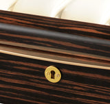 VOLTA EBONY WOOD 8 WATCH CASE WITH GOLD ACCENTS AND CREAM LEATHER INTERIOR AND SEE THROUGH TOP